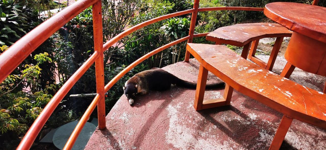 Mora'S Place B&B Monteverde Екстериор снимка