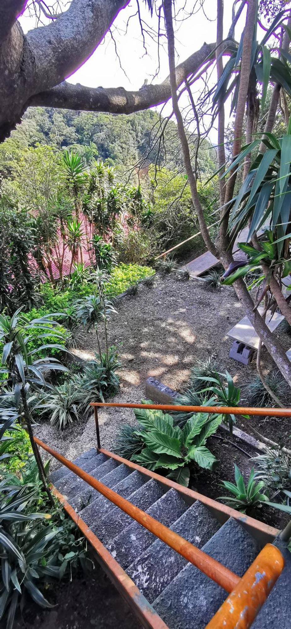 Mora'S Place B&B Monteverde Екстериор снимка