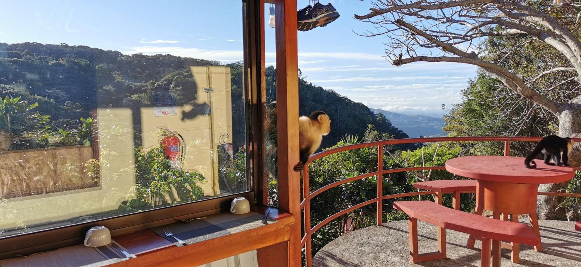 Mora'S Place B&B Monteverde Екстериор снимка