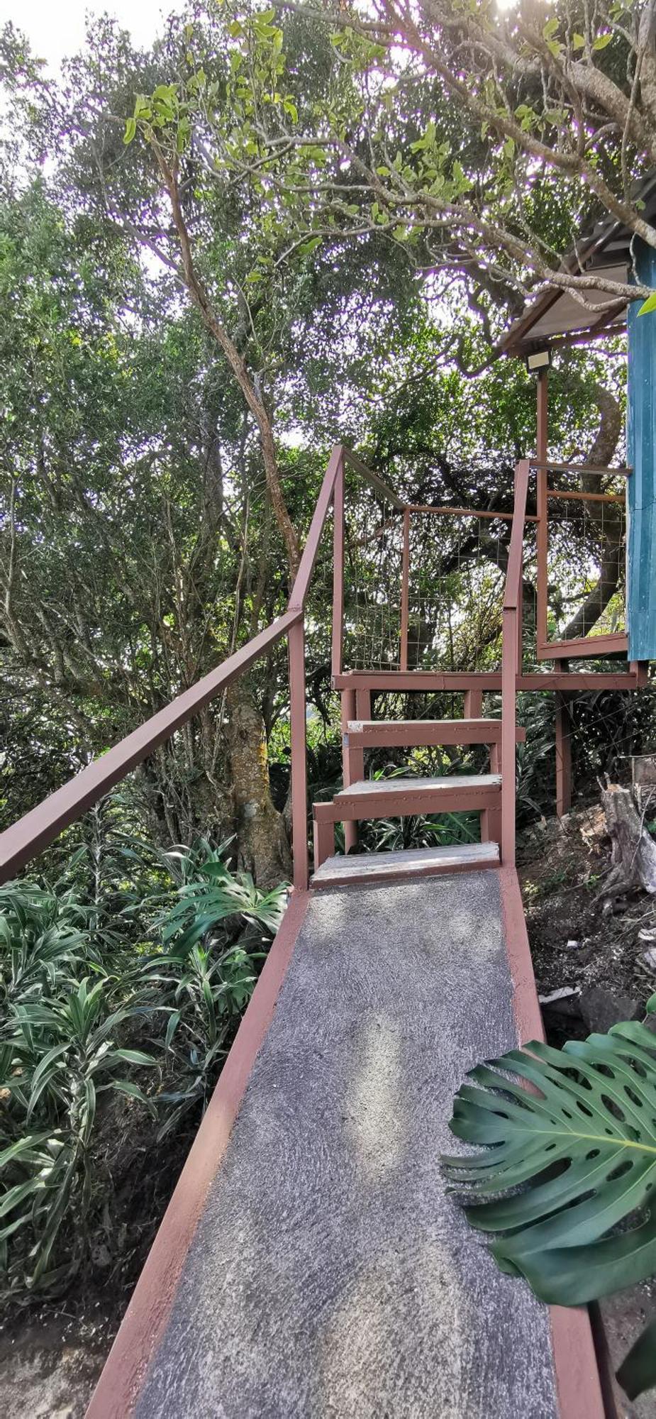 Mora'S Place B&B Monteverde Екстериор снимка