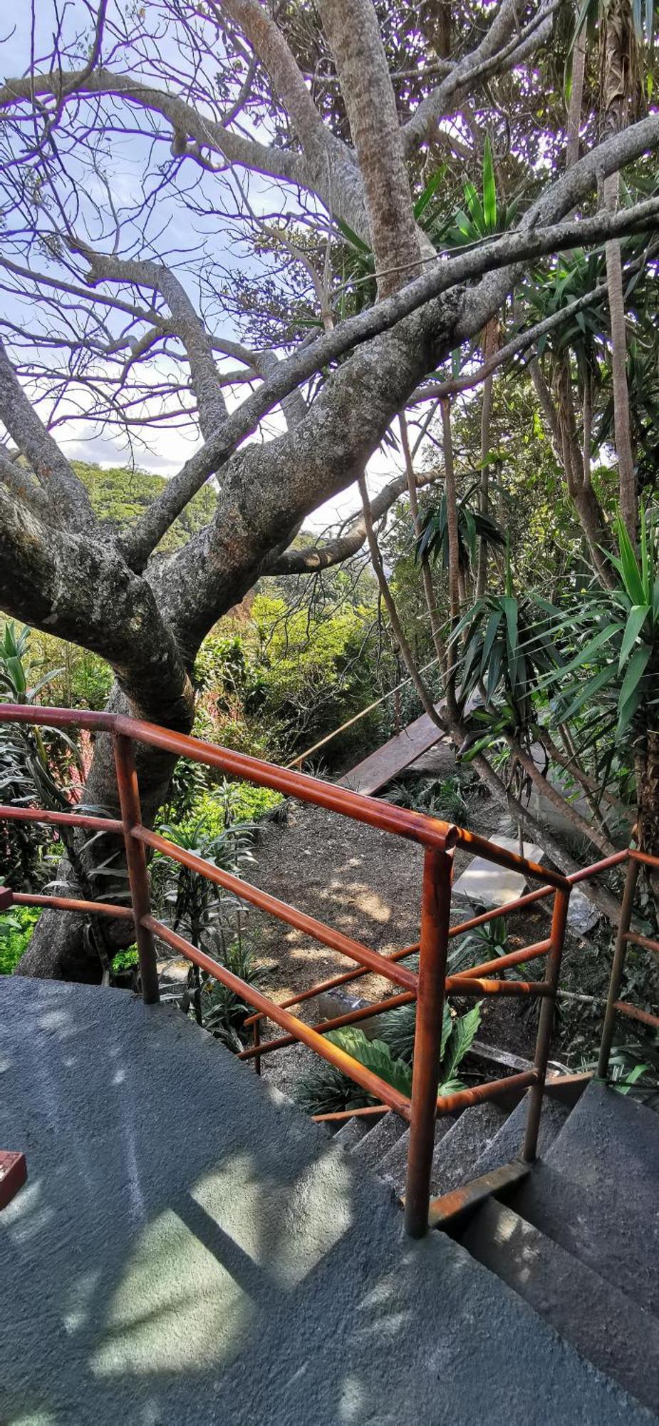 Mora'S Place B&B Monteverde Екстериор снимка