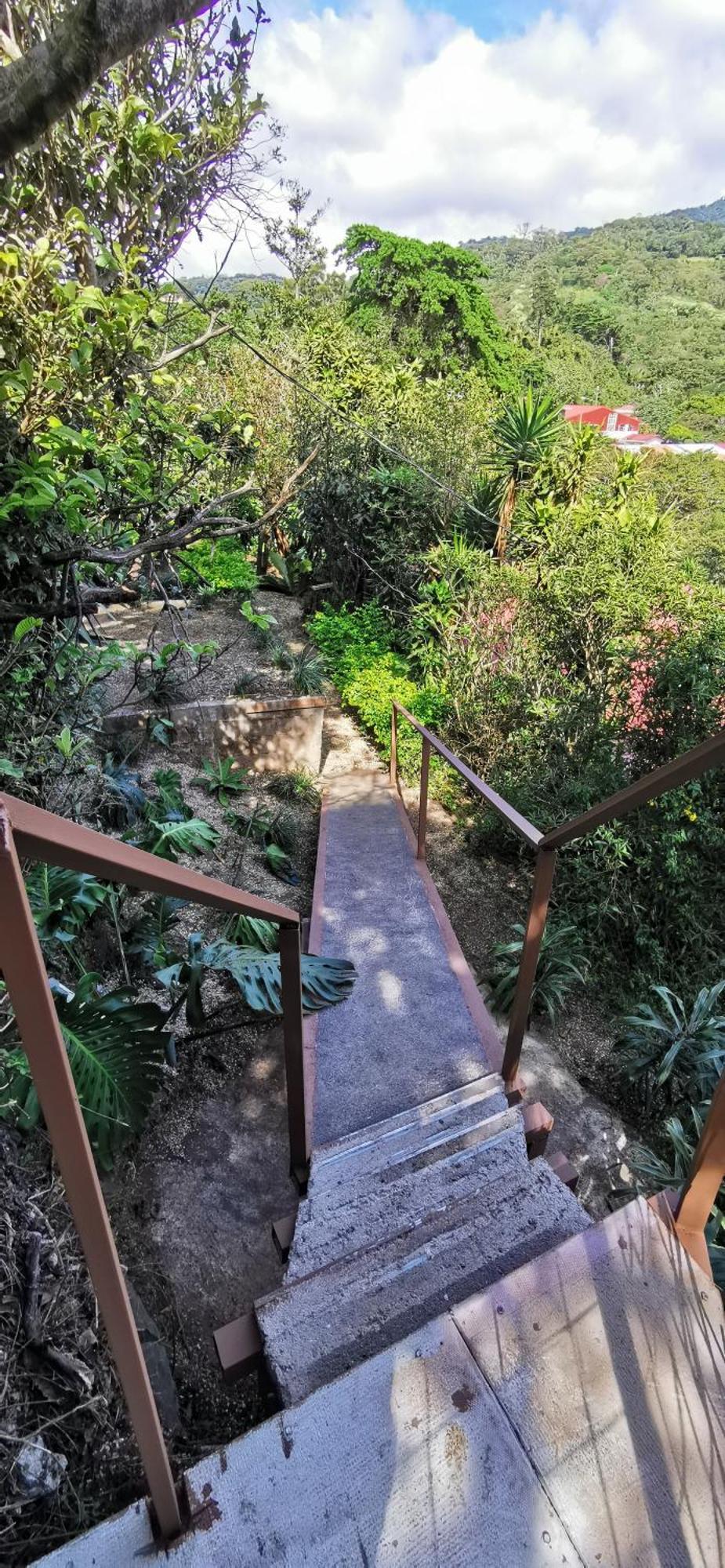 Mora'S Place B&B Monteverde Екстериор снимка
