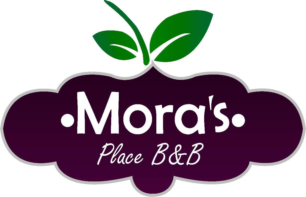 Mora'S Place B&B Monteverde Екстериор снимка